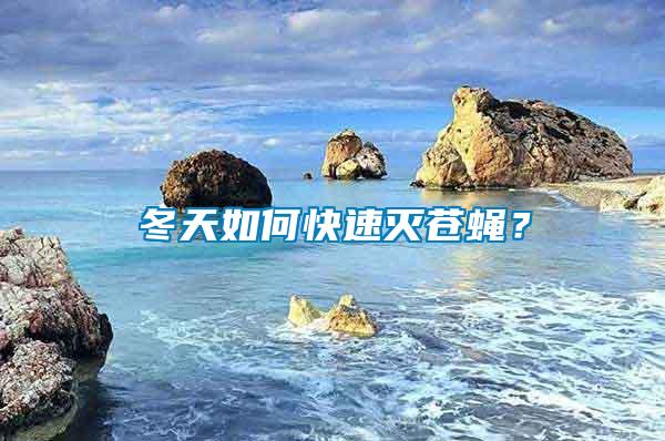 冬天如何快速滅蒼蠅？