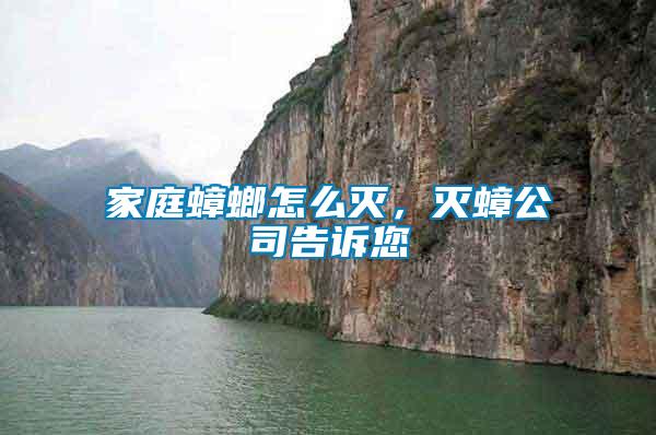 家庭蟑螂怎么滅，滅蟑公司告訴您