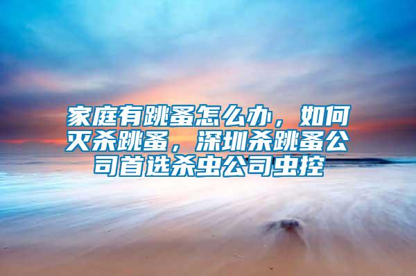 家庭有跳蚤怎么辦，如何滅殺跳蚤，深圳殺跳蚤公司首選殺蟲公司蟲控