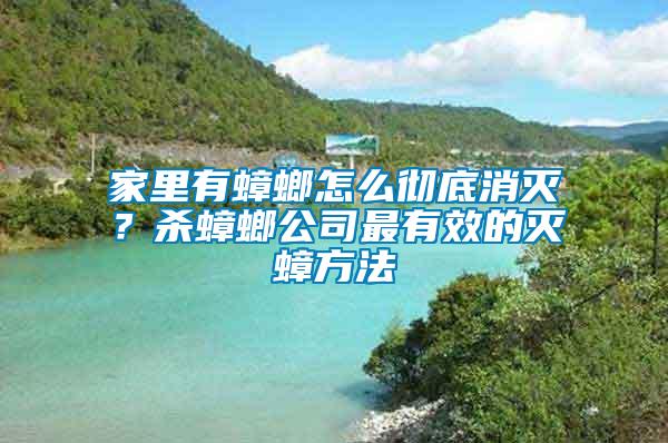 家里有蟑螂怎么徹底消滅？殺蟑螂公司最有效的滅蟑方法
