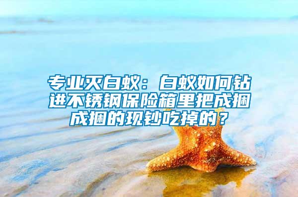 專業(yè)滅白蟻：白蟻如何鉆進不銹鋼保險箱里把成捆成捆的現(xiàn)鈔吃掉的？