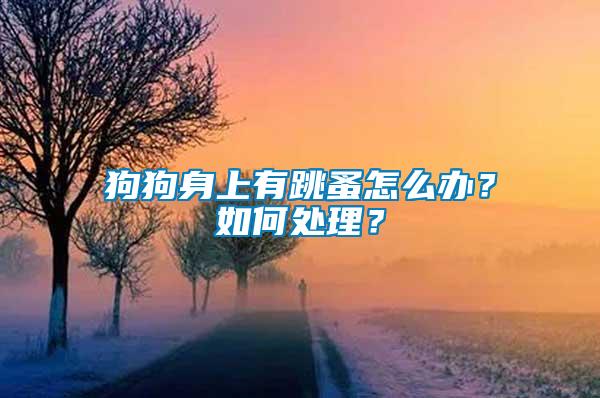 狗狗身上有跳蚤怎么辦？如何處理？