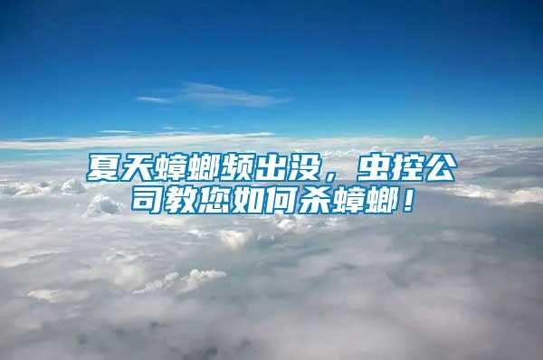 夏天蟑螂頻出沒(méi)，蟲(chóng)控公司教您如何殺蟑螂！