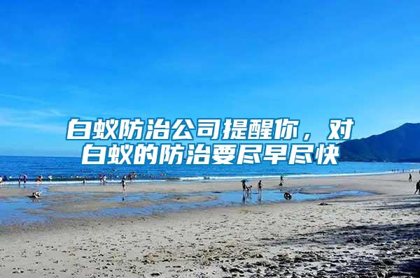 白蟻防治公司提醒你，對白蟻的防治要盡早盡快