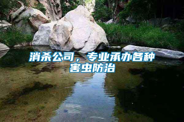 消殺公司，專業(yè)承辦各種害蟲防治