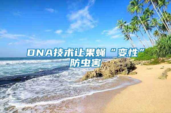 DNA技術(shù)讓果蠅“變性”防蟲(chóng)害