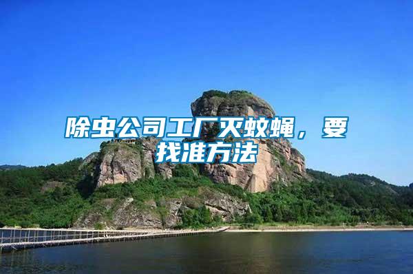 除蟲公司工廠滅蚊蠅，要找準(zhǔn)方法