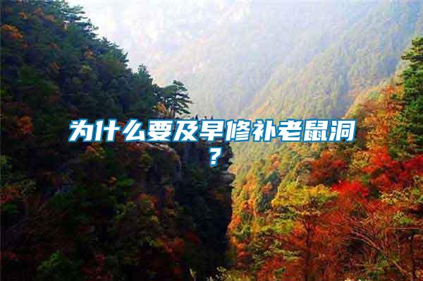 為什么要及早修補(bǔ)老鼠洞？