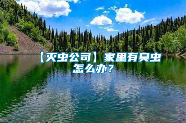 【滅蟲公司】家里有臭蟲怎么辦？