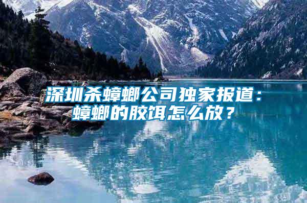 深圳殺蟑螂公司獨(dú)家報(bào)道：蟑螂的膠餌怎么放？