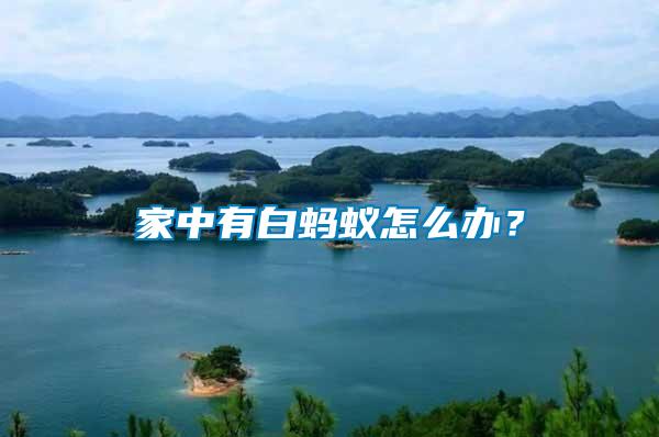 家中有白螞蟻怎么辦？