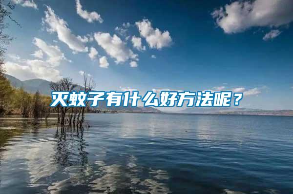 滅蚊子有什么好方法呢？