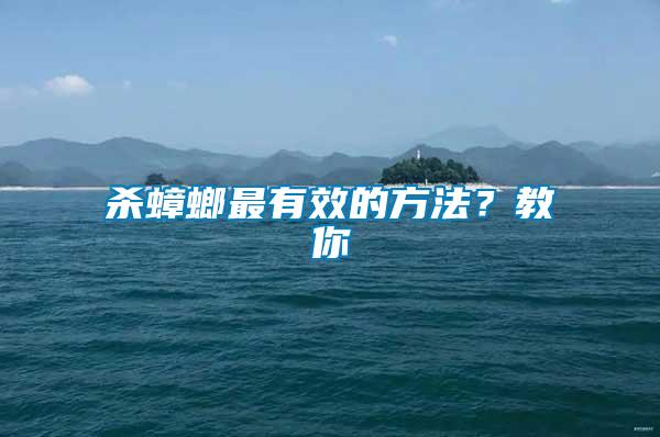 殺蟑螂最有效的方法？教你