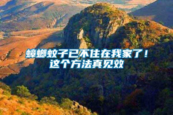 蟑螂蚊子已不住在我家了！這個(gè)方法真見效