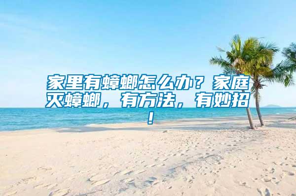 家里有蟑螂怎么辦？家庭滅蟑螂，有方法，有妙招！