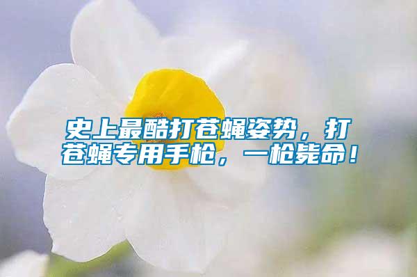 史上最酷打蒼蠅姿勢，打蒼蠅專用手槍，一槍斃命！