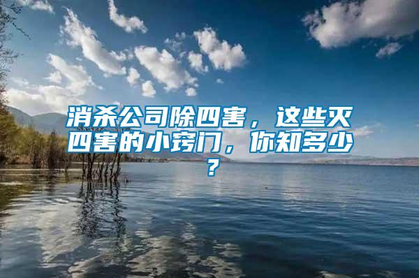 消殺公司除四害，這些滅四害的小竅門，你知多少？