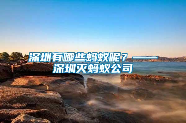 深圳有哪些螞蟻呢？——深圳滅螞蟻公司