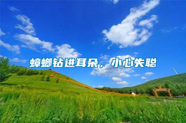 蟑螂鉆進(jìn)耳朵，小心失聰