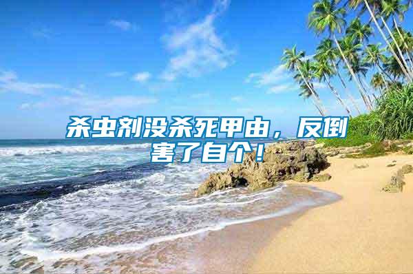 殺蟲(chóng)劑沒(méi)殺死甲由，反倒害了自個(gè)！