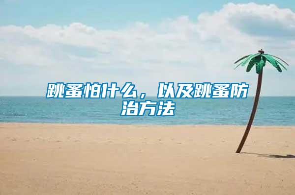 跳蚤怕什么，以及跳蚤防治方法