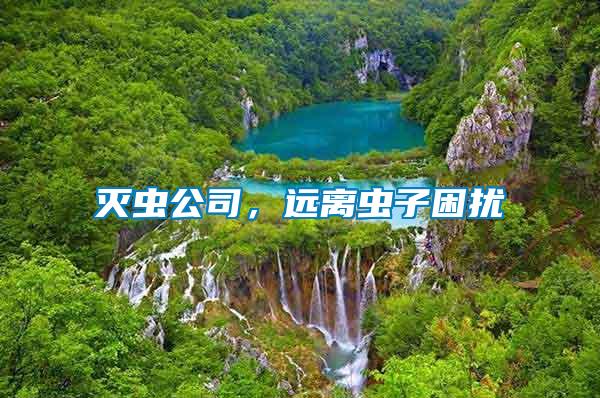 滅蟲(chóng)公司，遠(yuǎn)離蟲(chóng)子困擾