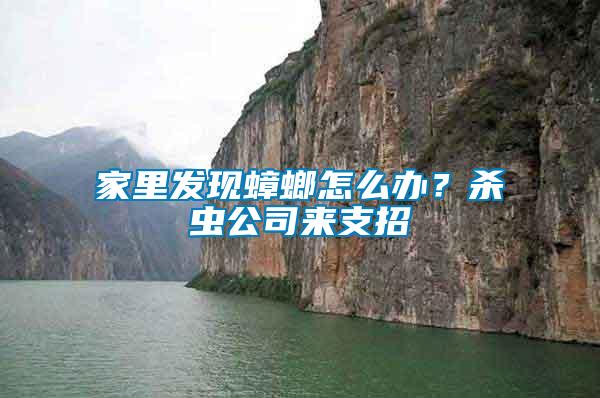 家里發(fā)現(xiàn)蟑螂怎么辦？殺蟲(chóng)公司來(lái)支招