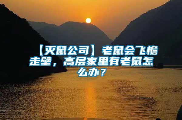 【滅鼠公司】老鼠會飛檐走壁，高層家里有老鼠怎么辦？