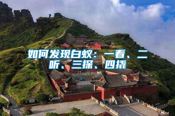 如何發(fā)現(xiàn)白蟻：一看、二聽、三探、四撬