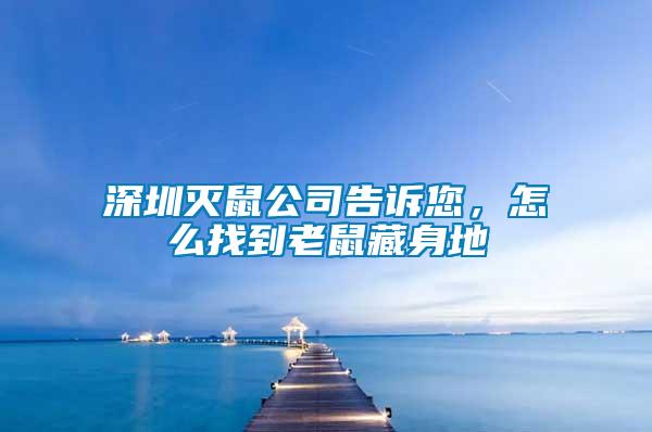 深圳滅鼠公司告訴您，怎么找到老鼠藏身地