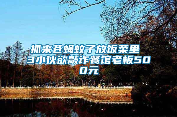 抓來(lái)蒼蠅蚊子放飯菜里 3小伙欲敲詐餐館老板500元