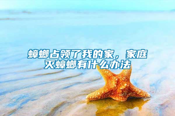 蟑螂占領(lǐng)了我的家，家庭滅蟑螂有什么辦法