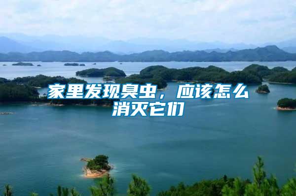 家里發(fā)現(xiàn)臭蟲，應(yīng)該怎么消滅它們
