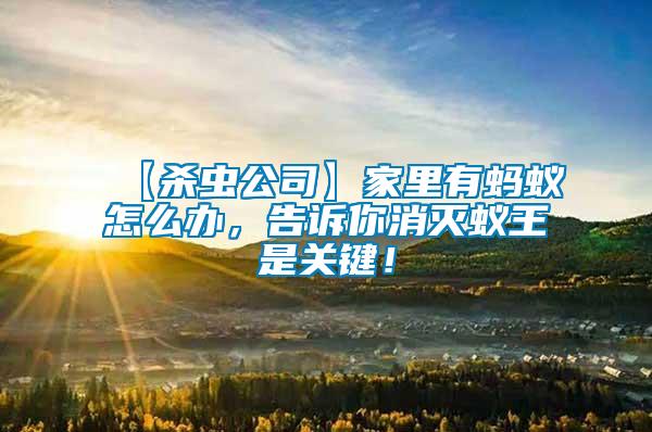 【殺蟲公司】家里有螞蟻怎么辦，告訴你消滅蟻王是關(guān)鍵！