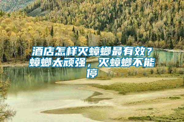 酒店怎樣滅蟑螂最有效？蟑螂太頑強，滅蟑螂不能停