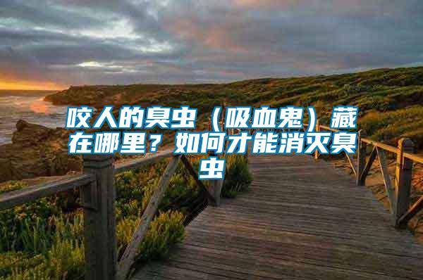 咬人的臭蟲（吸血鬼）藏在哪里？如何才能消滅臭蟲