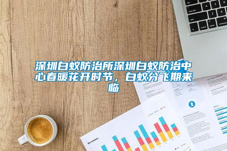 深圳白蟻防治所深圳白蟻防治中心春暖花開時節(jié)，白蟻分飛期來臨