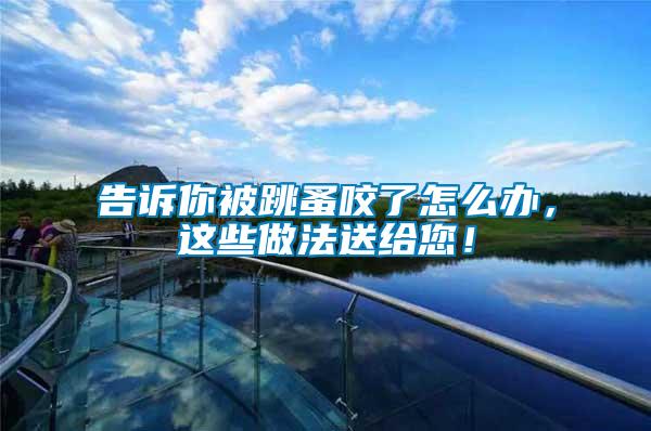 告訴你被跳蚤咬了怎么辦，這些做法送給您！