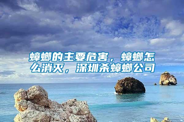 蟑螂的主要危害，蟑螂怎么消滅，深圳殺蟑螂公司