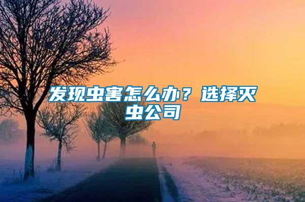 發(fā)現(xiàn)蟲(chóng)害怎么辦？選擇滅蟲(chóng)公司