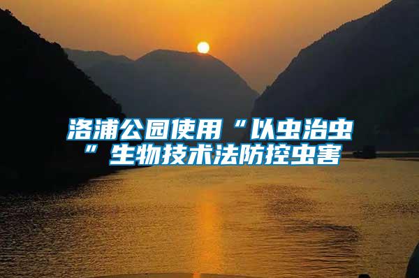 洛浦公園使用“以蟲(chóng)治蟲(chóng)”生物技術(shù)法防控蟲(chóng)害