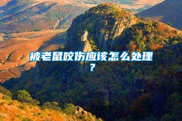 被老鼠咬傷應(yīng)該怎么處理？