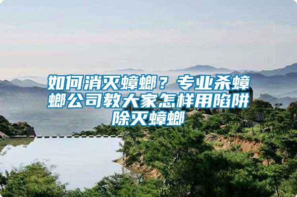 如何消滅蟑螂？專業(yè)殺蟑螂公司教大家怎樣用陷阱除滅蟑螂