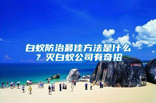 白蟻防治最佳方法是什么？滅白蟻公司有奇招