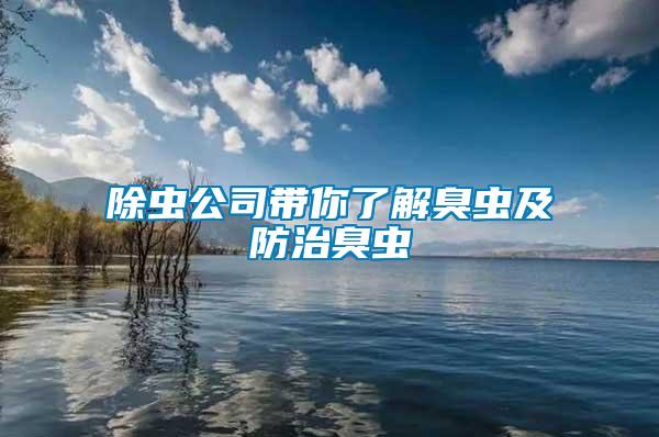 除蟲(chóng)公司帶你了解臭蟲(chóng)及防治臭蟲(chóng)