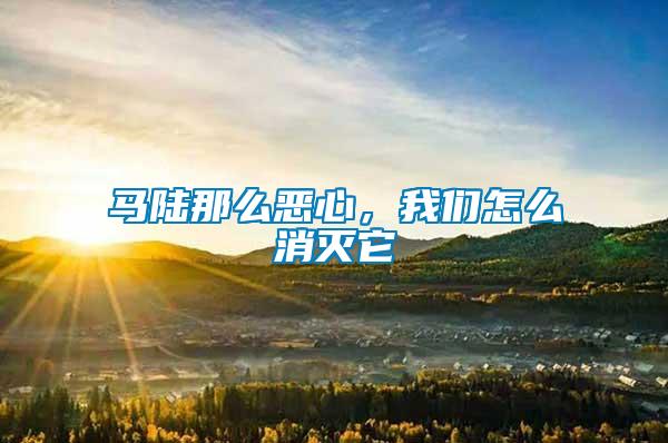馬陸那么惡心，我們?cè)趺聪麥缢?/></p>
             <p style=