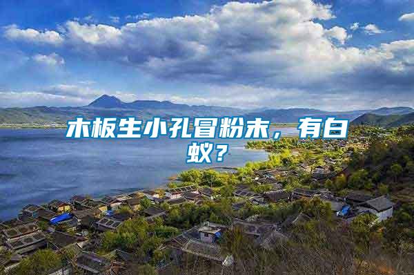 木板生小孔冒粉末，有白蟻？