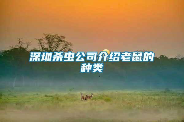 深圳殺蟲(chóng)公司介紹老鼠的種類