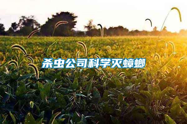 殺蟲(chóng)公司科學(xué)滅蟑螂