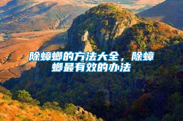 除蟑螂的方法大全，除蟑螂最有效的辦法